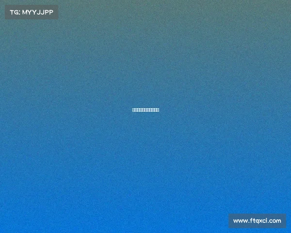 《枪火与信仰：征途》》